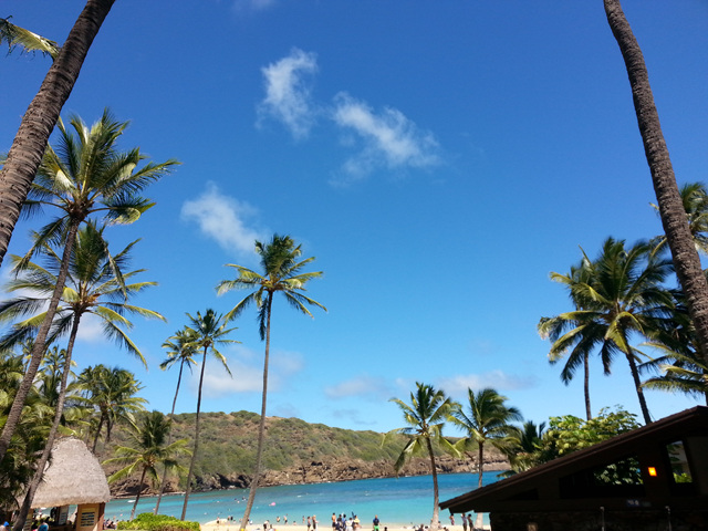 20140922_140350.jpg