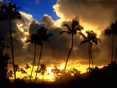 hawaii-1039.jpg
